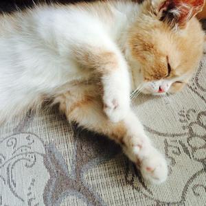 美少女光身体裸体露阴沟
